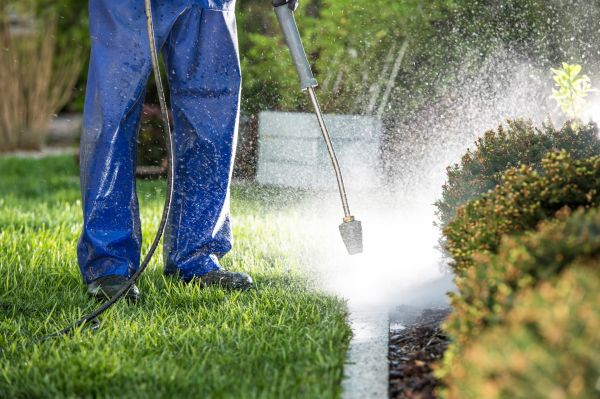 Curb Cleaning in Athens