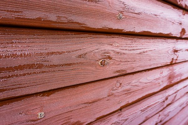 Cedar Siding Cleaning in Athens