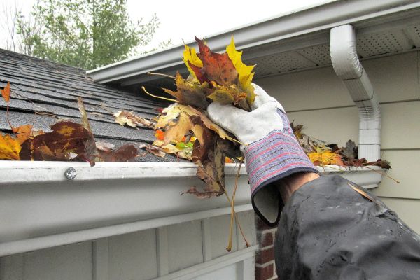 Eaves Cleaning in Athens