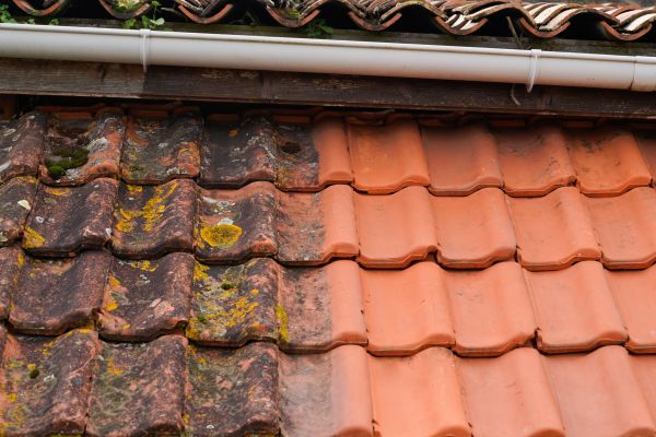 Cost of Industrial Roof Cleaning in Athens